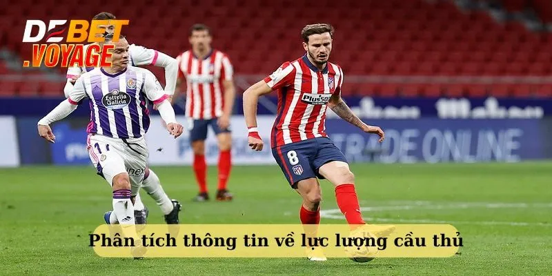 Phân tích thông tin về lực lượng cầu thủ - kinh nghiệm soi kèo bóng đá hiệu quả