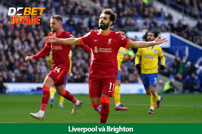 Soi kèo vàng trận Liverpool vs Brighton 22h00 ngày 02/11 3 Soi kèo vàng trận Liverpool vs Brighton 22h00 ngày 02/11