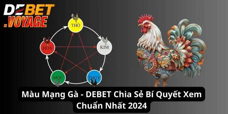 Màu Mạng Gà - DEBET Chia Sẻ Bí Quyết Xem Chuẩn Nhất 2024