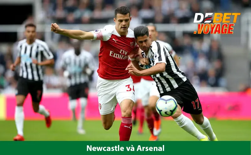 Nhận định bóng đá Newcastle vs Arsenal lúc 19h30 ngày 02/11 3 Nhận định bóng đá Newcastle vs Arsenal lúc 19h30 ngày 02/11