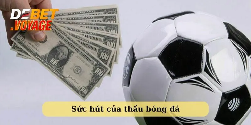 Sức hút của thầu cá độ bóng đá