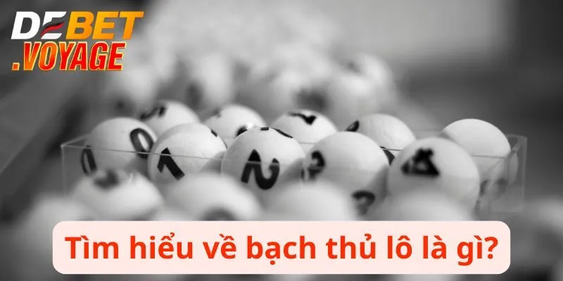 Bạch Thủ Lô - Cơ Hội Đổi Đời Từ Giải Thưởng Siêu Khủng 1 Bạch thủ lô là gì?